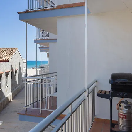 La Paz De Xinxilla Denia