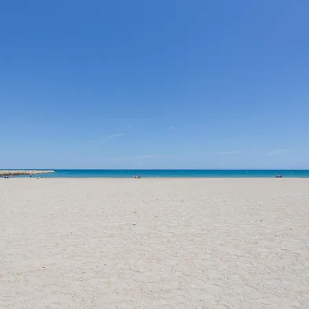 La Paz De Xinxilla Denia